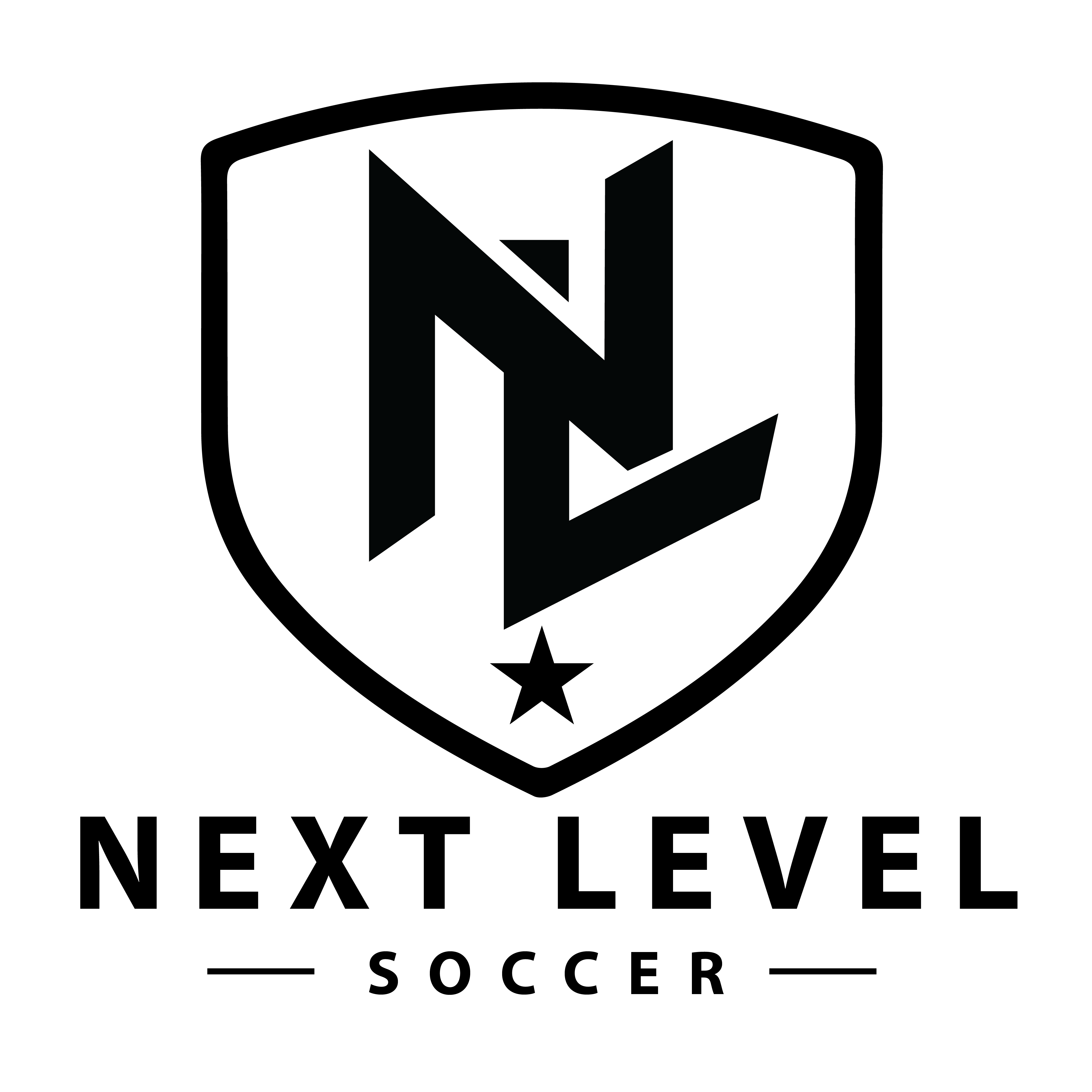 Next Level Soccer Academy logo in hero section